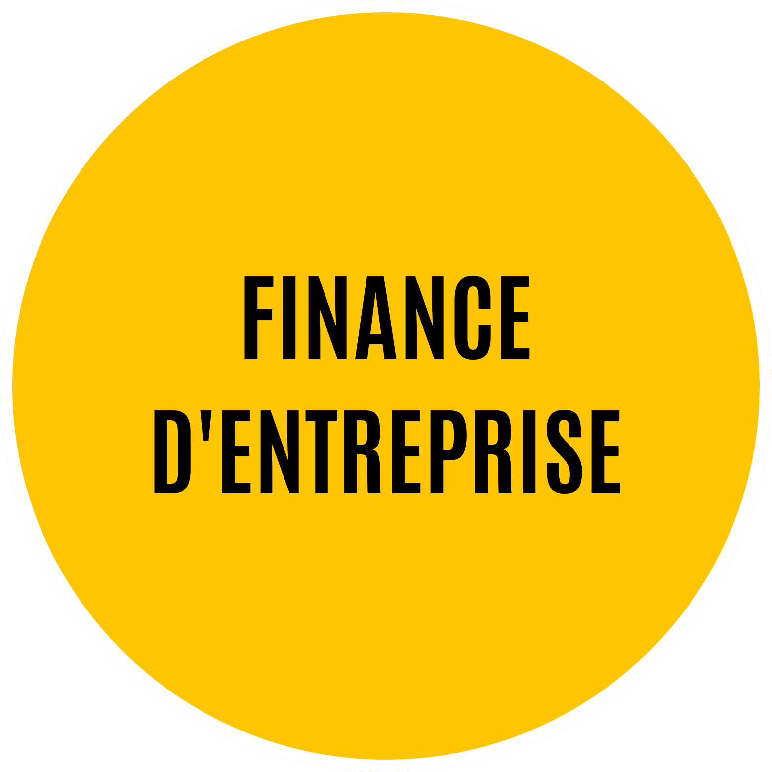 Finance d'entreprise.png