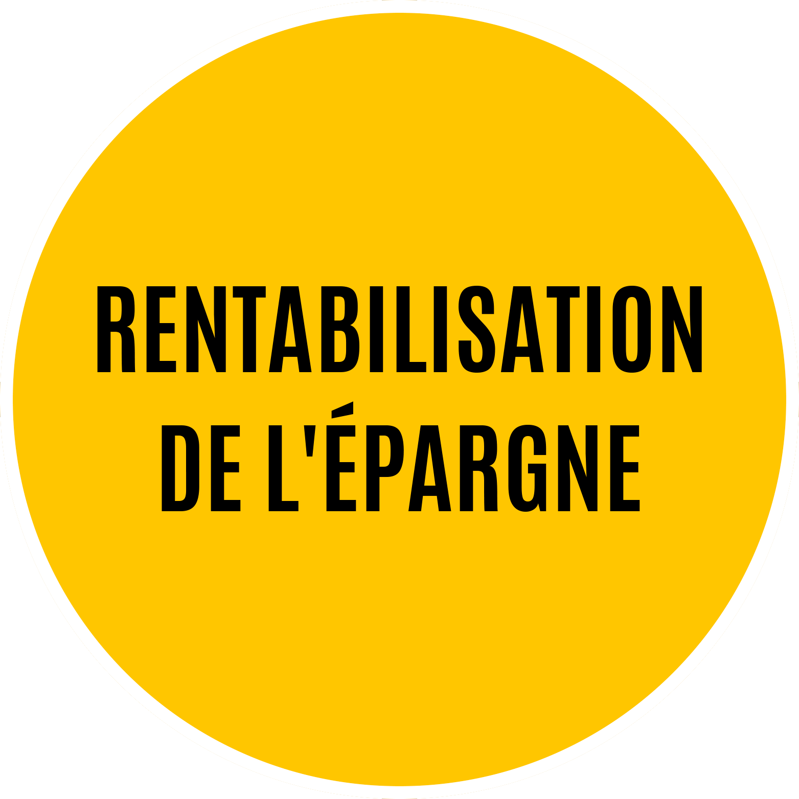 Rentabilisation de l'épargne.png